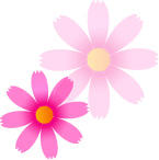 Cosmos2013_memory2
